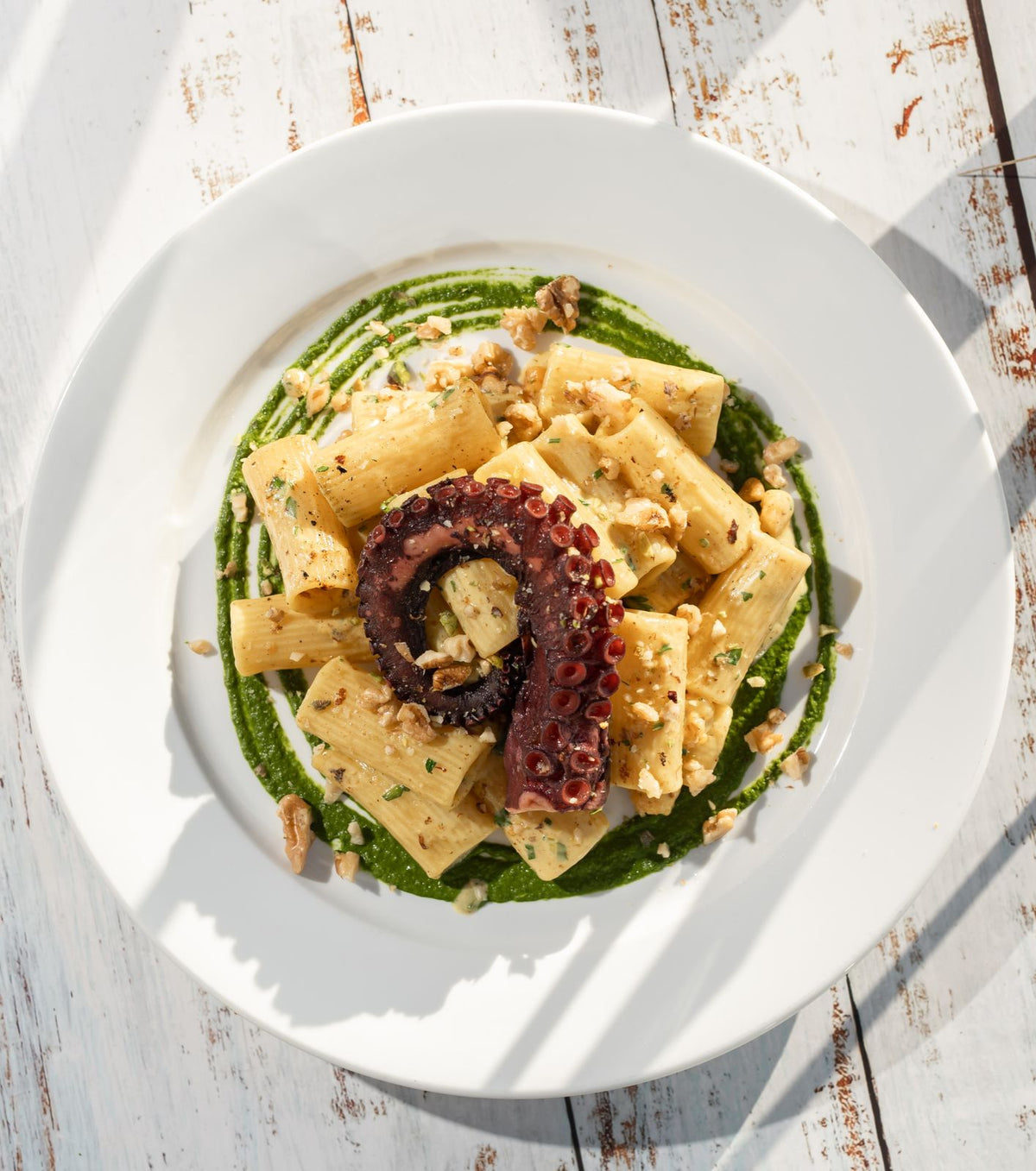 Rigatoni al Pulpo Zafferano